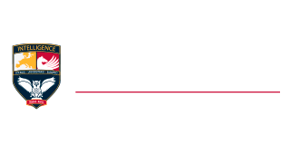 bcolegio-inteligencia