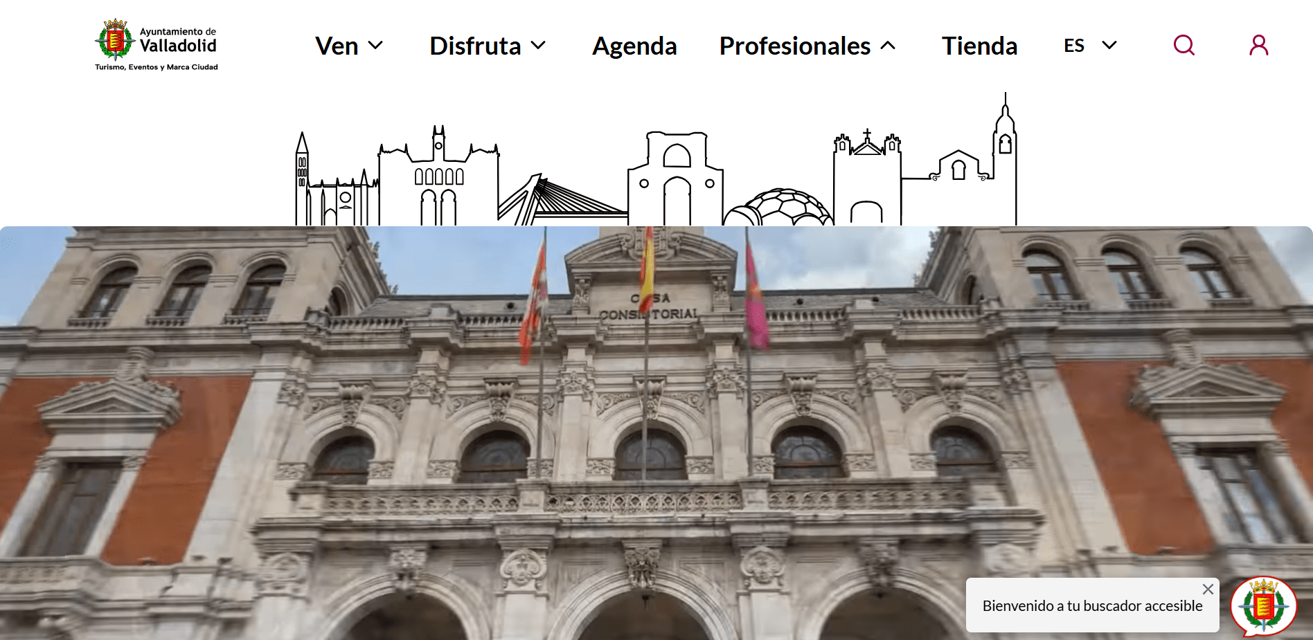 web info valladolid